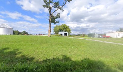 Savannah's Creations Imported Image 1761315934 1